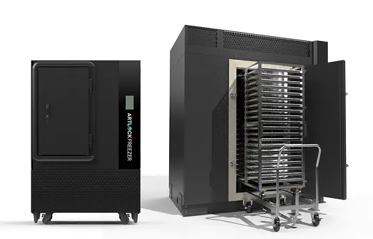 アートロックフリーザー