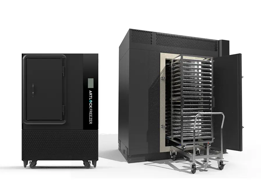 アートロックフリーザー