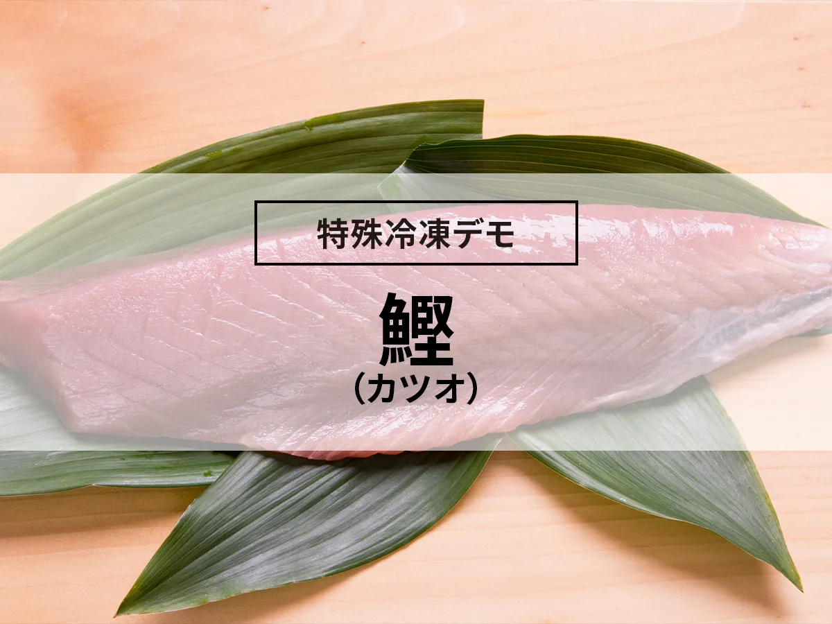 鰹（カツオ）の凍結（急速冷凍デモ）