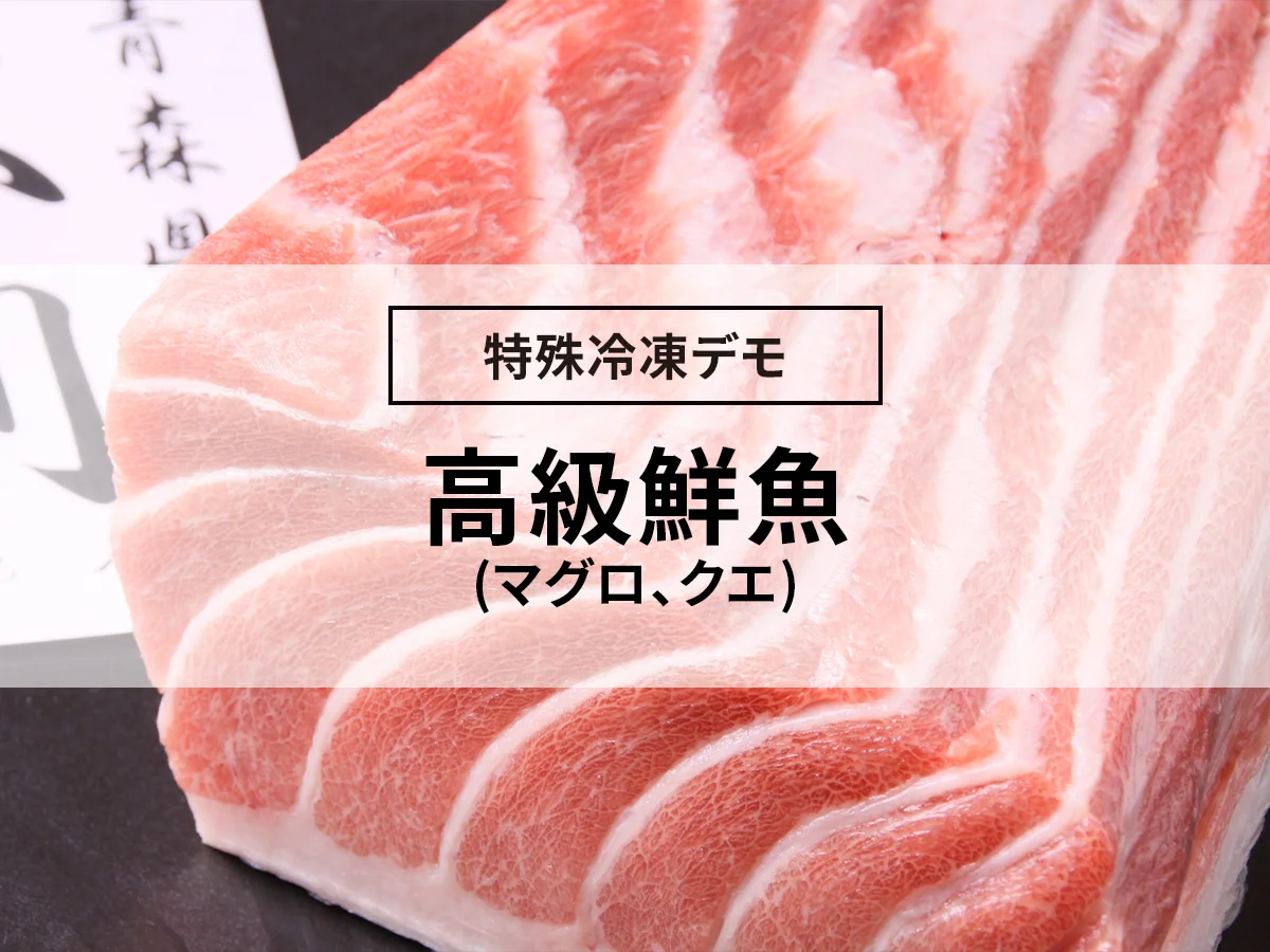 高級鮮魚(マグロ、クエ)の凍結（急速冷凍…