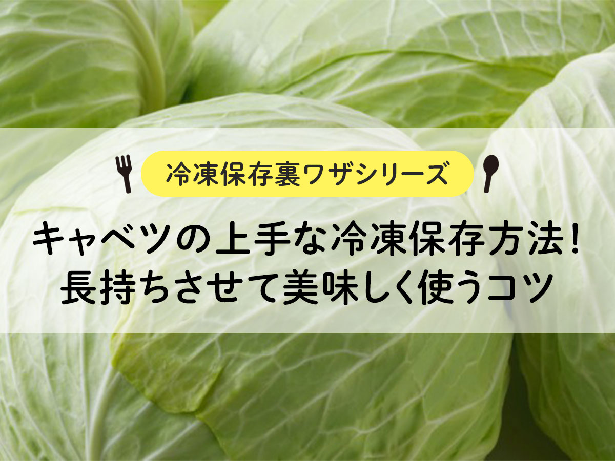 【冷凍保存裏ワザシリーズ】キャベツの上手な冷凍保存方法！長持ちさせて美味しく使うコツ