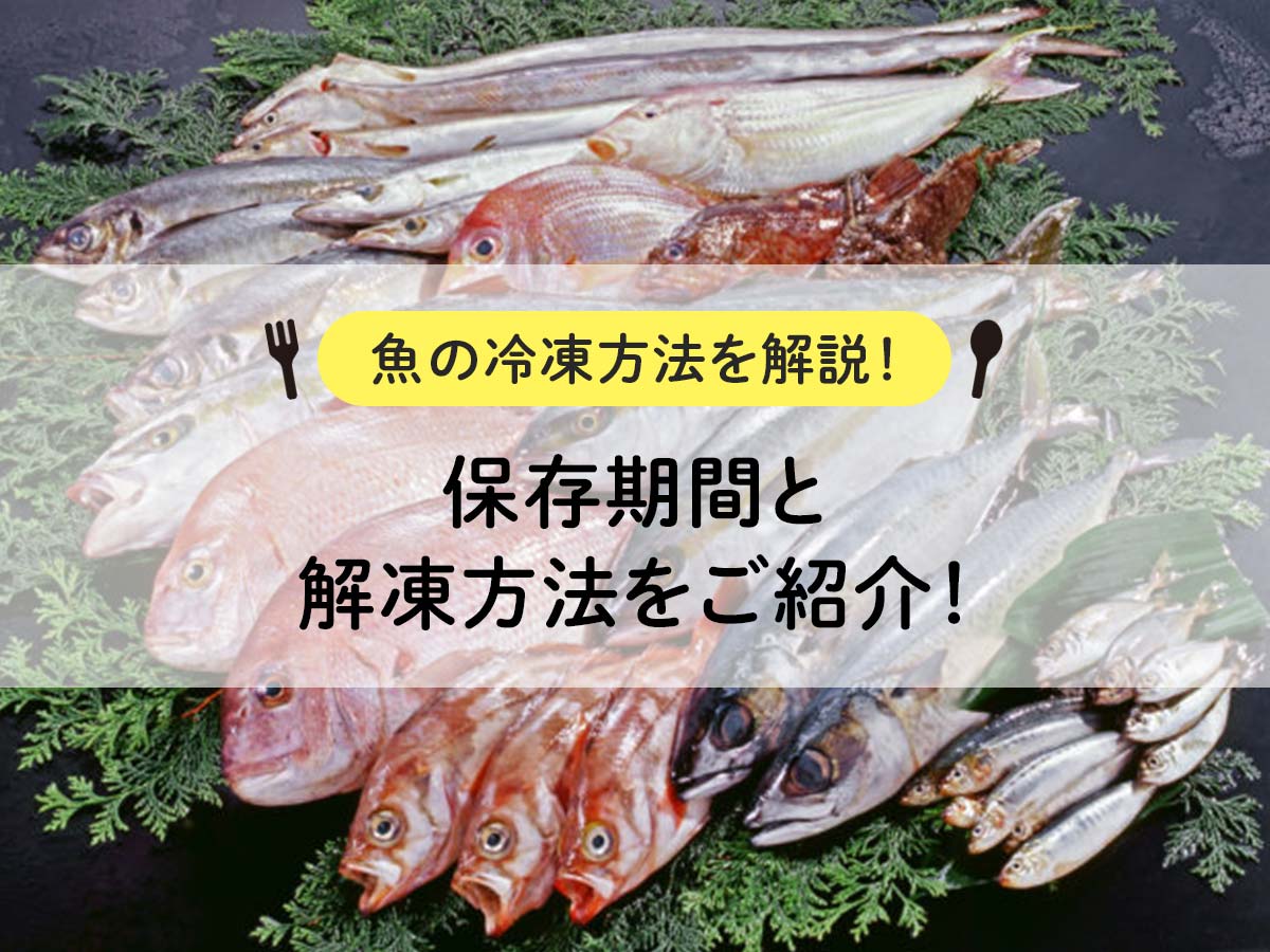 【魚の冷凍方法を解説！】保存期間と解凍方法をご紹介！