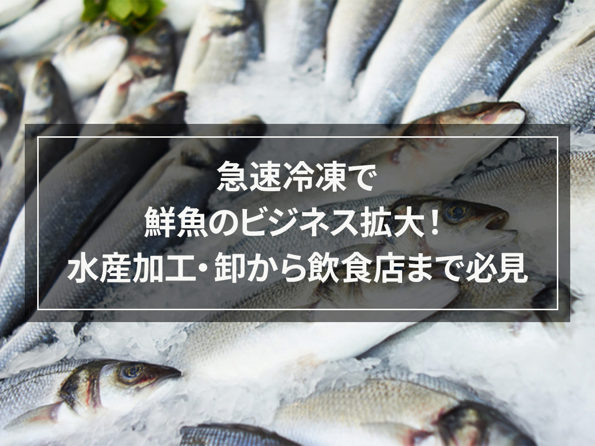 急速冷凍で鮮魚のビジネス拡大！水産加工・卸から飲食店まで必見