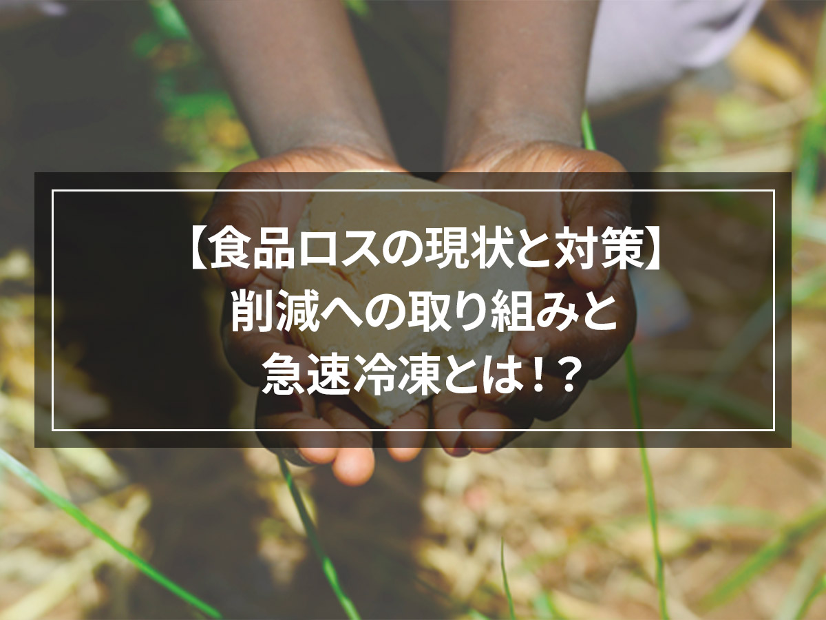 【食品ロスの現状と対策】削減への取り組みと急速冷凍とは！？