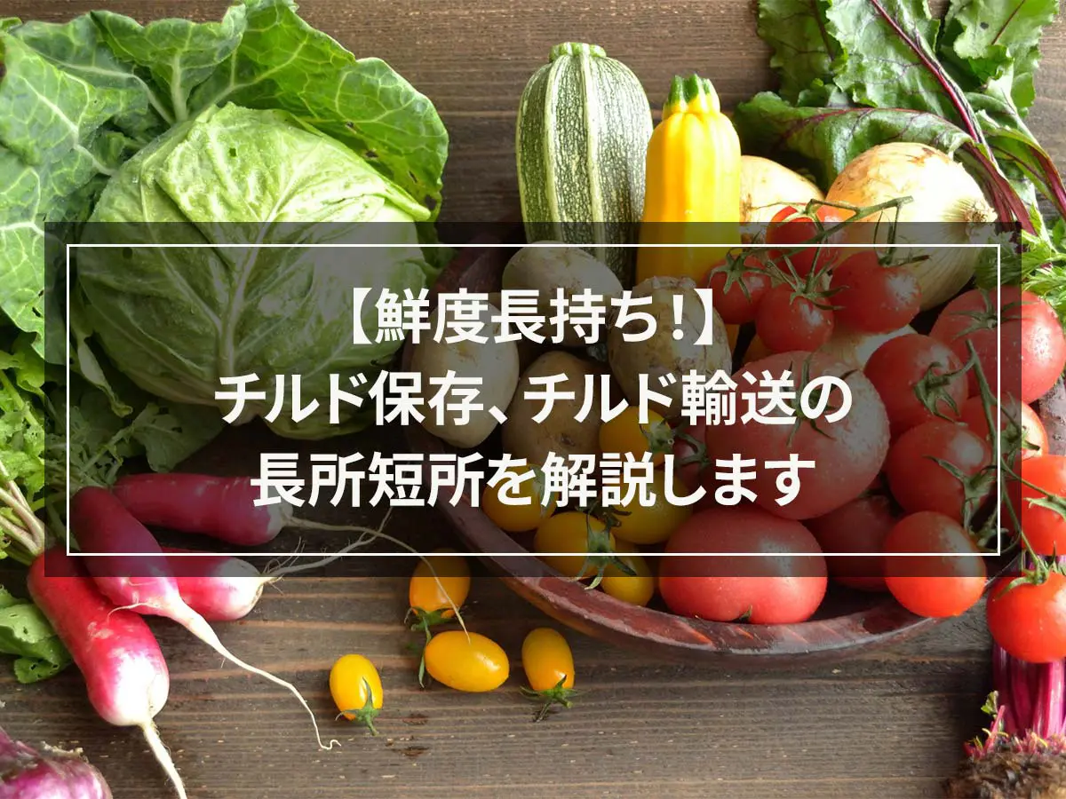 【鮮度長持ち！】チルド保存、チルド輸送の長所短所を解説します