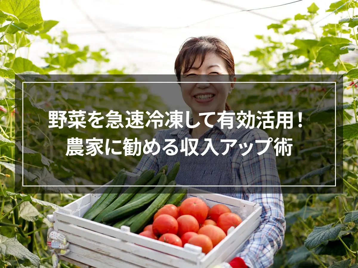 野菜を急速冷凍して有効活用！農家に勧める収入アップ術