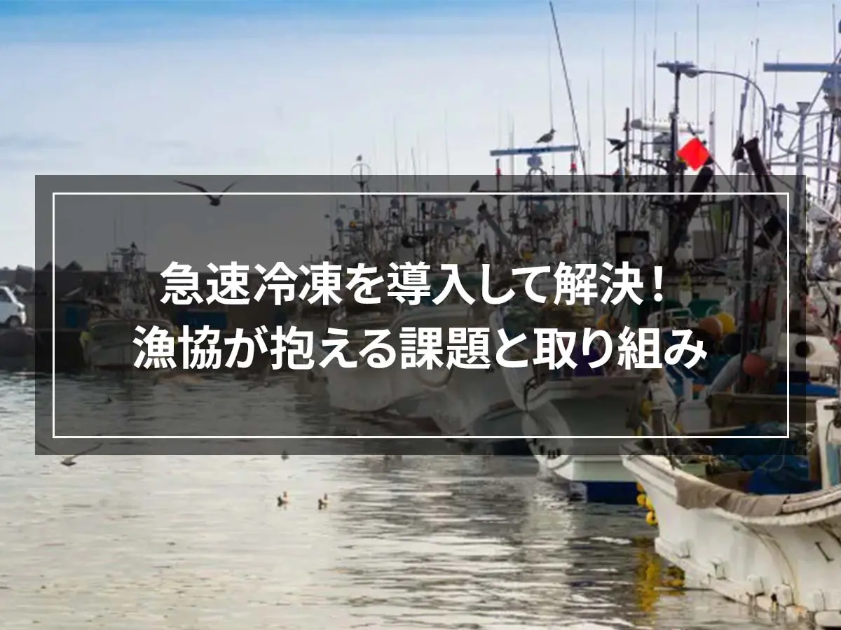 急速冷凍を導入して解決！漁協が抱える課題と取り組み